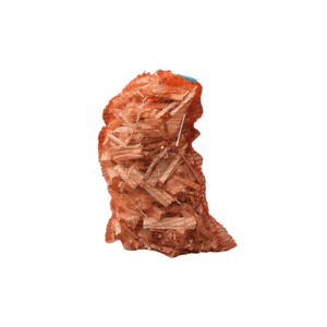 Allume feu bois - Filet de bois d’allumage 25 dm³